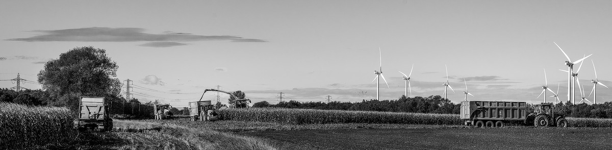 6 Harvesting the Biomas in the Autumn Breeze